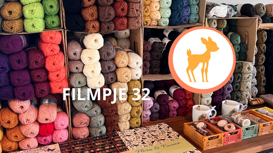 Lievia Filmpje 32