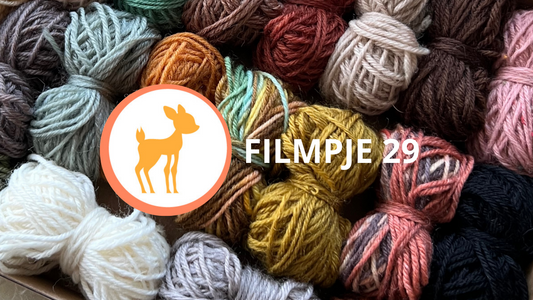 Lievia Filmpje 29