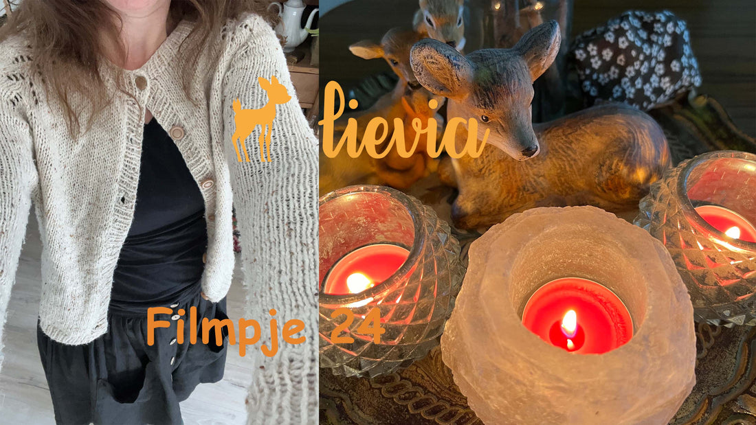 Lievia Filmpje 24