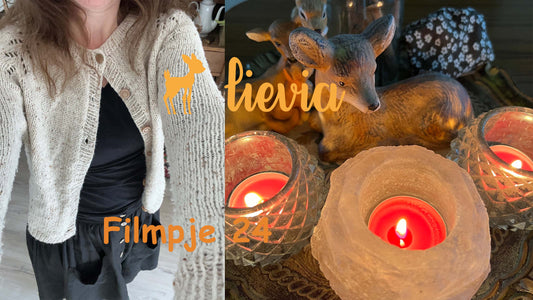 Lievia Filmpje 24