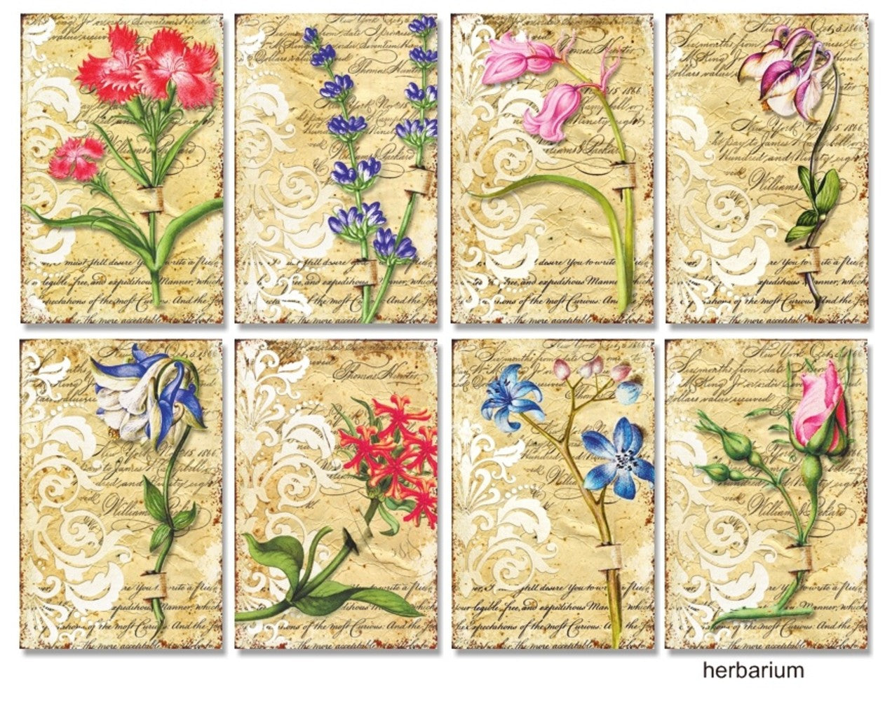 Mini Scrapbook papier Herbarium - Decorer