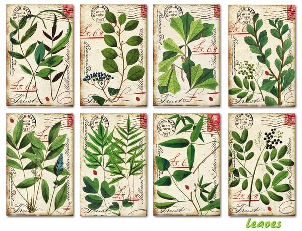 Mini Scrapbook papier Leaves - Decorer