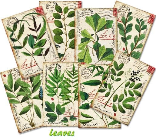 Mini Scrapbook papier Leaves - Decorer