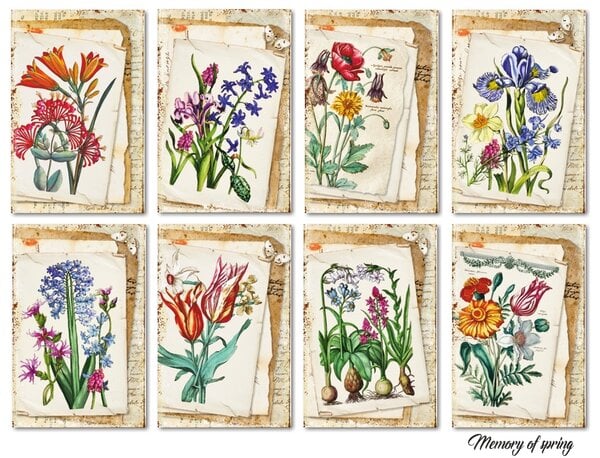 Mini Scrapbook papier Memory of Spring - Decorer