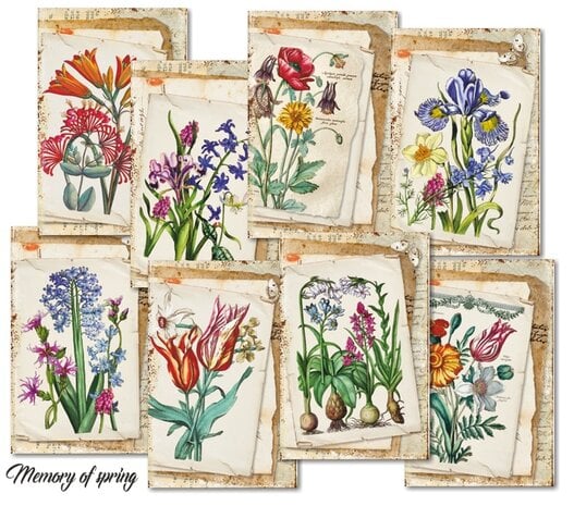 Mini Scrapbook papier Memory of Spring - Decorer