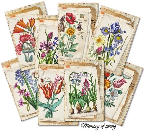 Mini Scrapbook papier Memory of Spring - Decorer