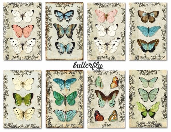 Mini Scrapbook papier Butterfly - Decorer