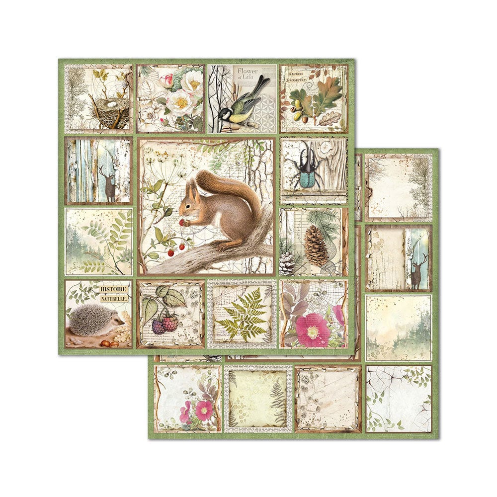 Scrapbook papier 20,3x20,3 cm Forest - Stamperia