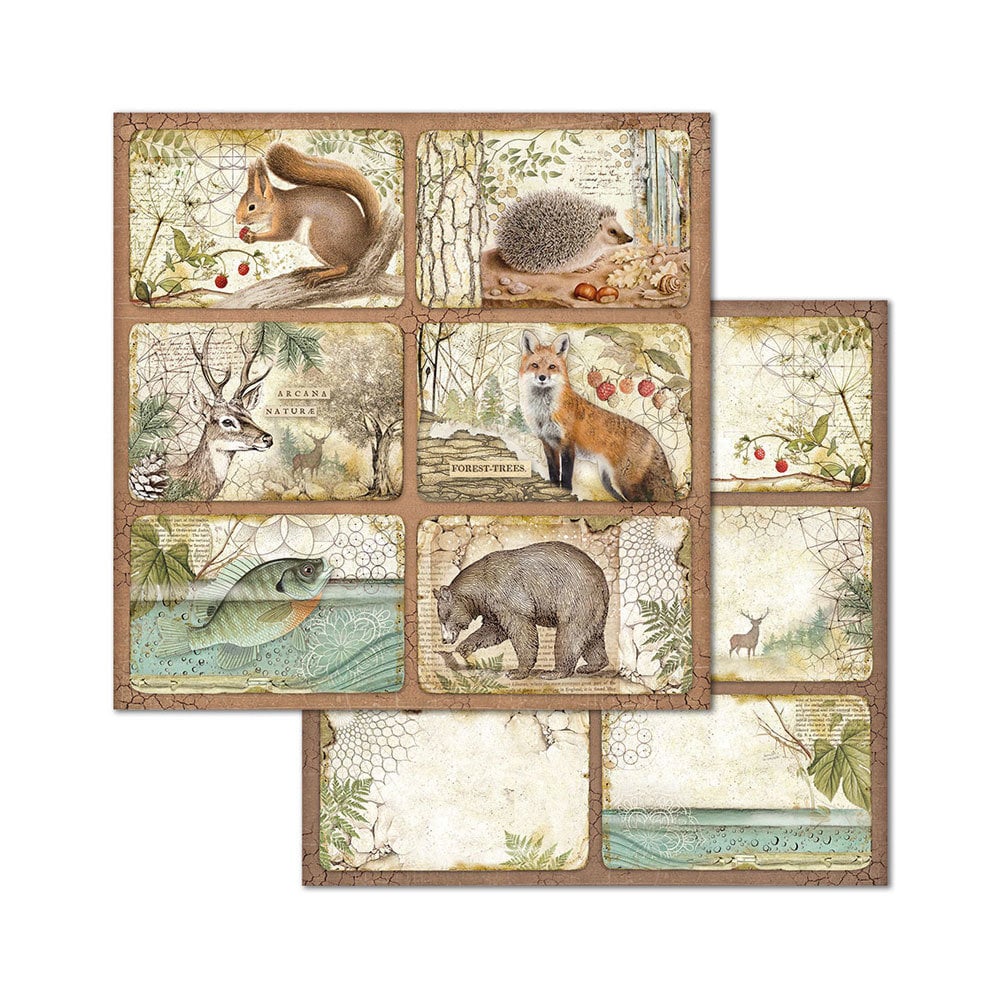 Scrapbook papier 20,3x20,3 cm Forest - Stamperia