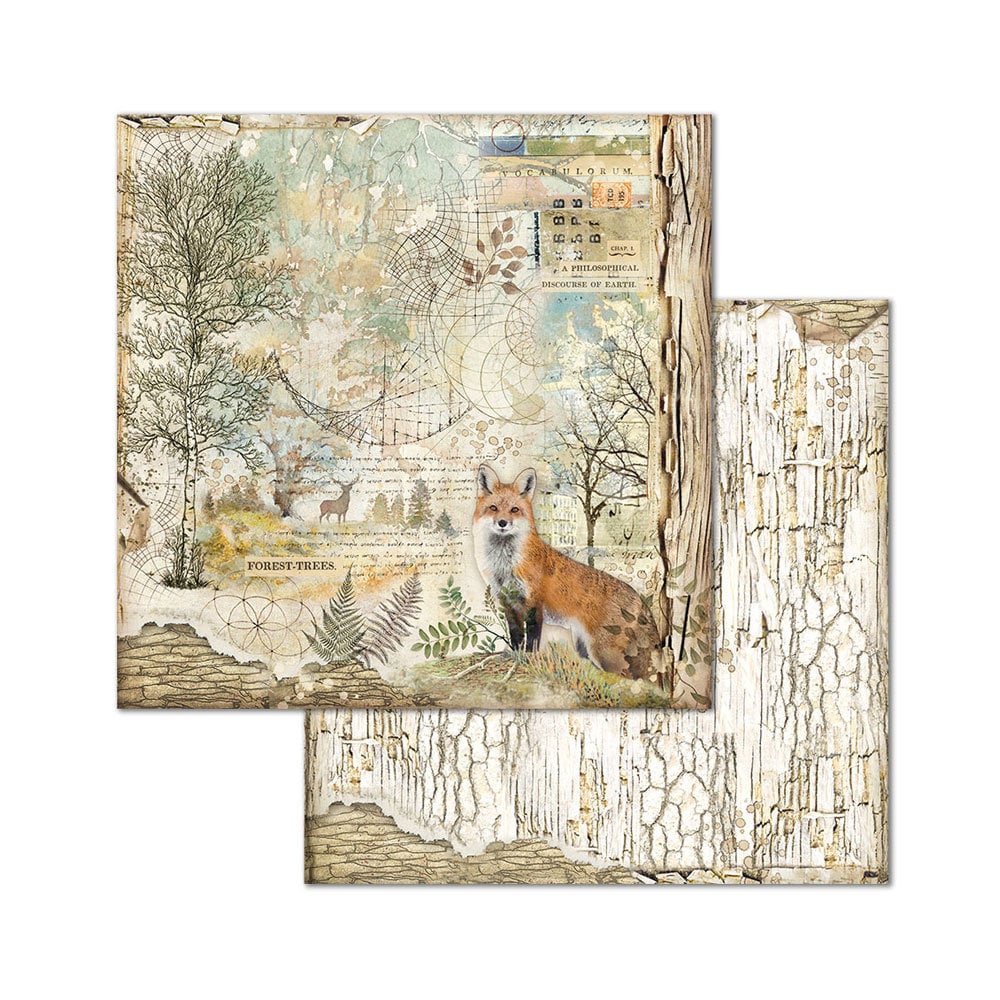 Scrapbook papier 20,3x20,3 cm Forest - Stamperia