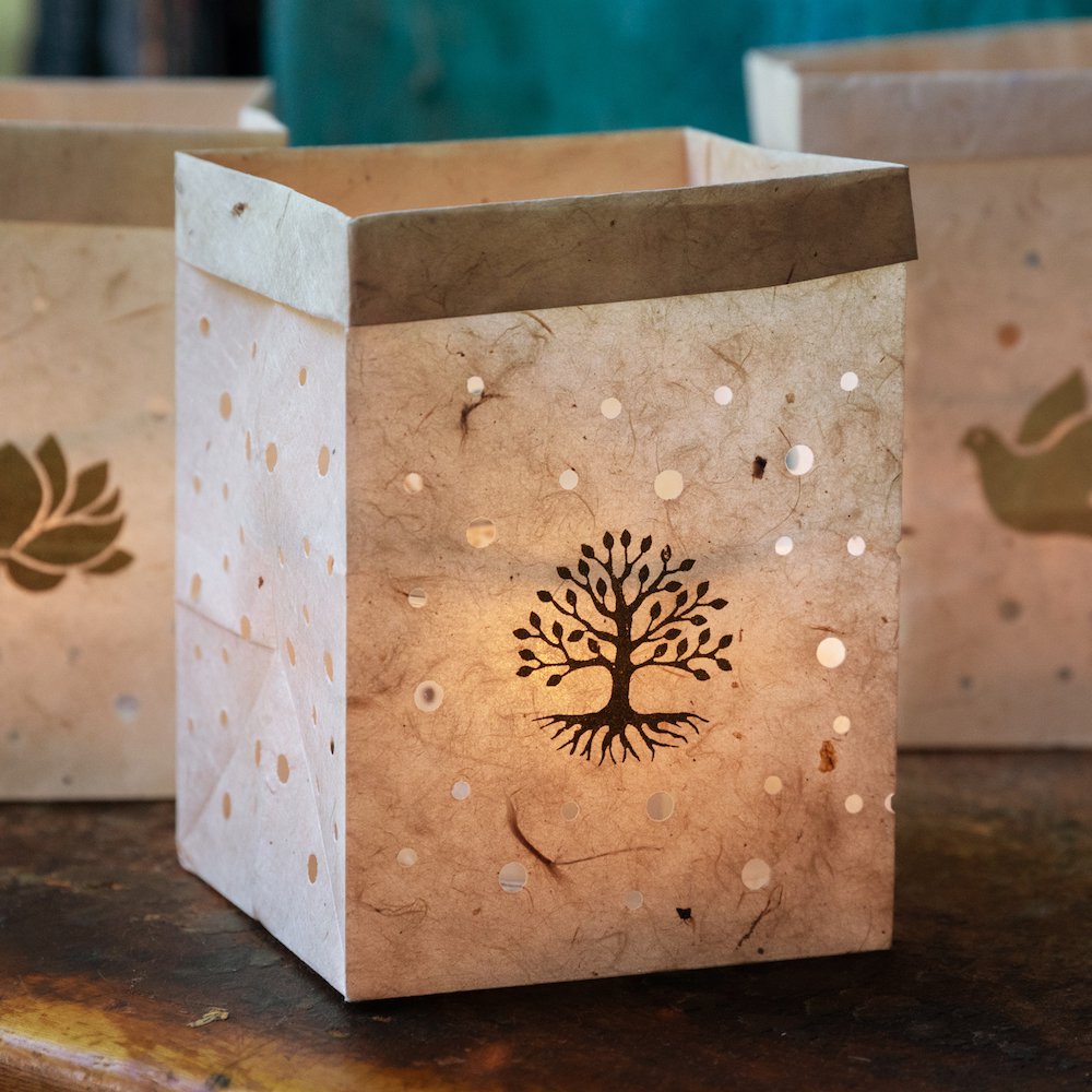 Gift of Light Libelle - Koperberg