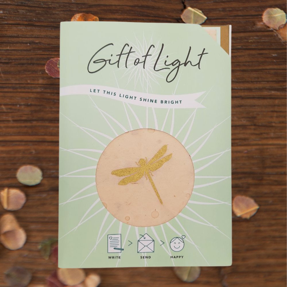 Gift of Light Libelle - Koperberg
