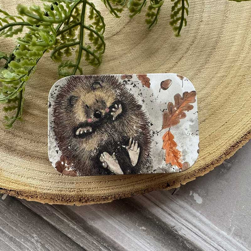 Mini blikje Hedgehog - Alex Clark