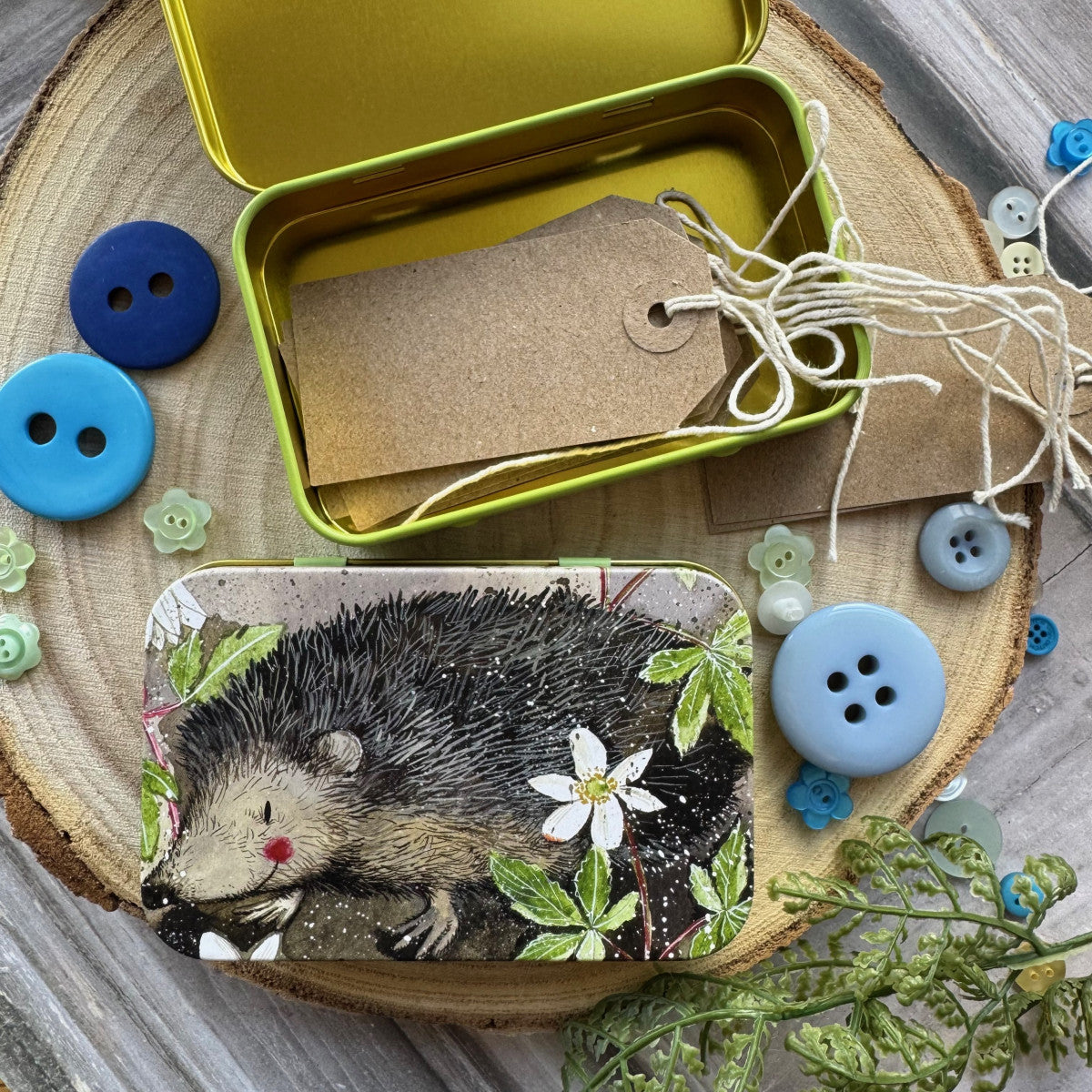 Cadeaublikje Mr Prickly - Alex Clark