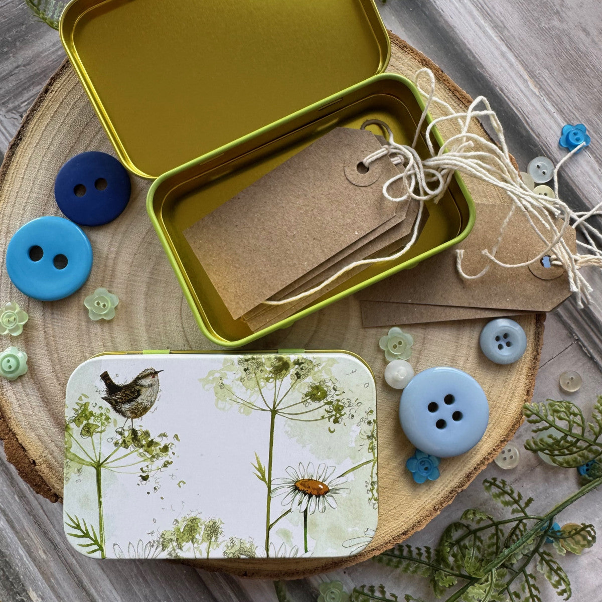 Cadeaublikje Wren and Daisies - Alex Clark
