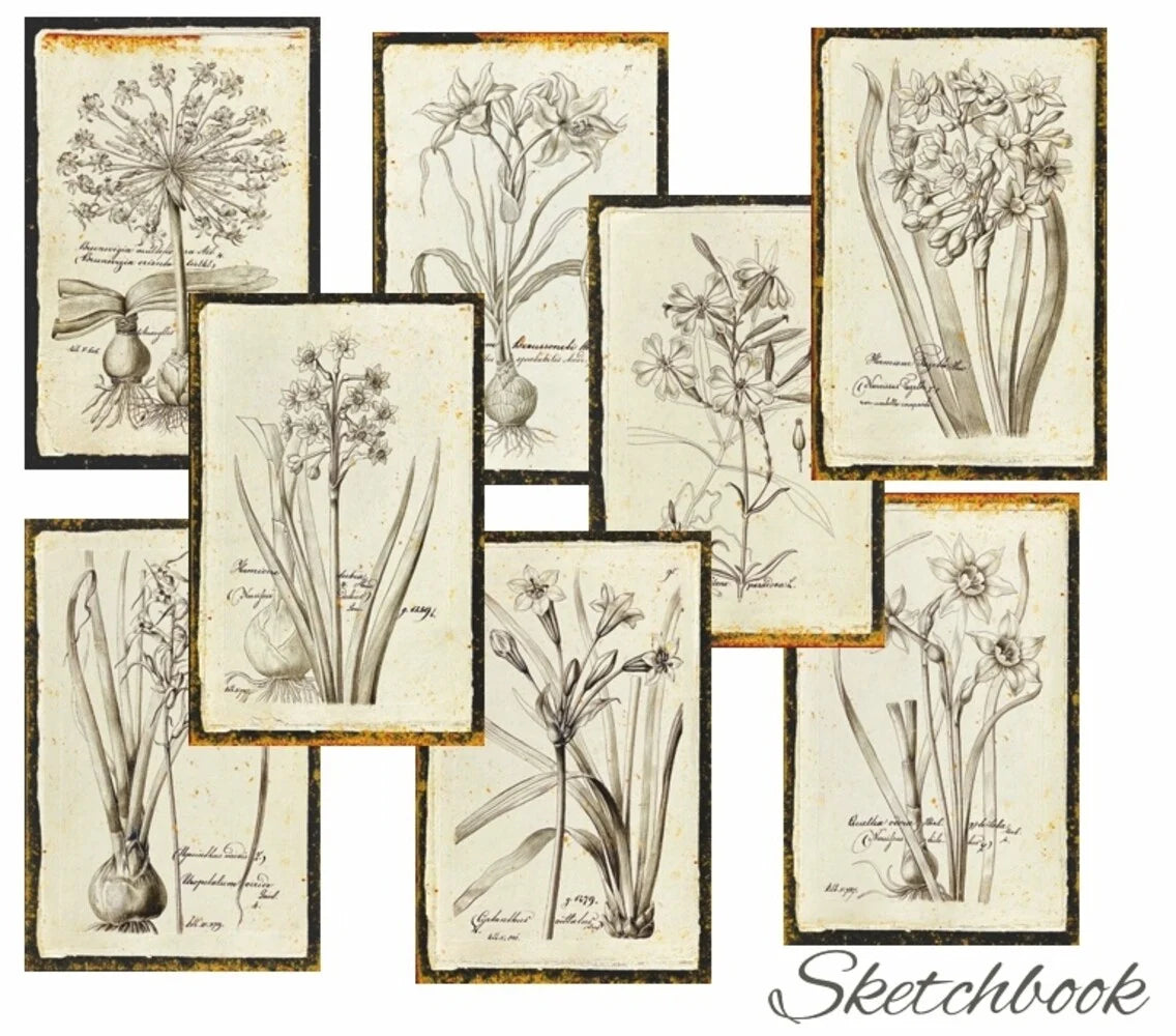 Mini Scrapbook papier Sketchbook - Decorer