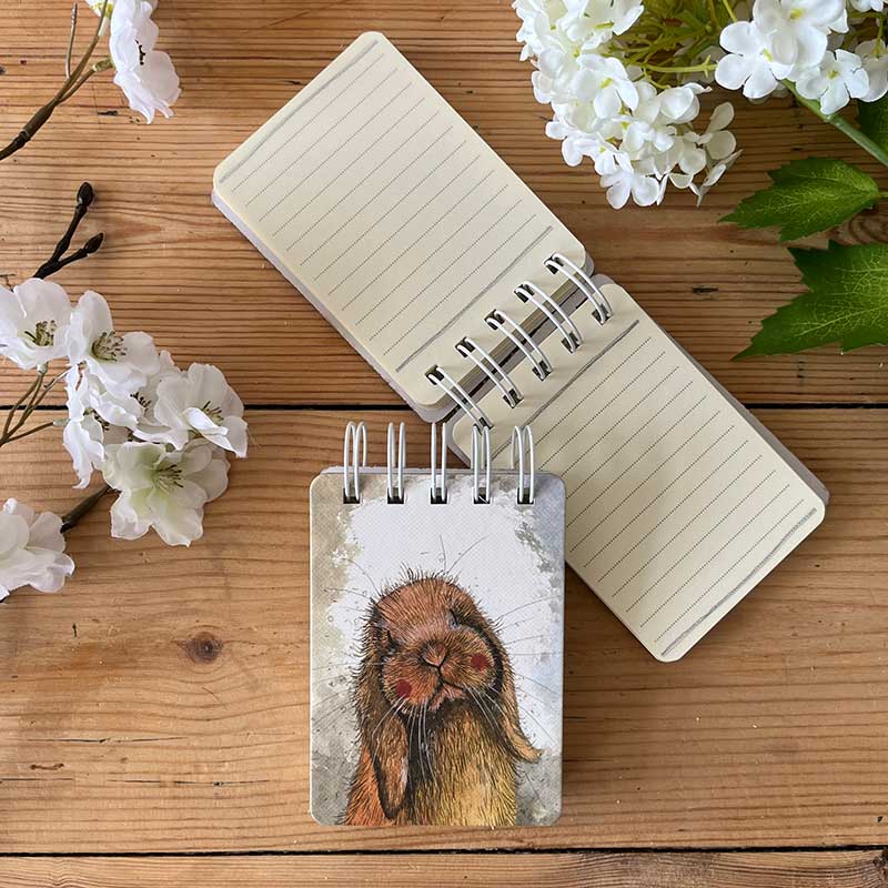 Mini notitieblokje Misty - Alex Clark