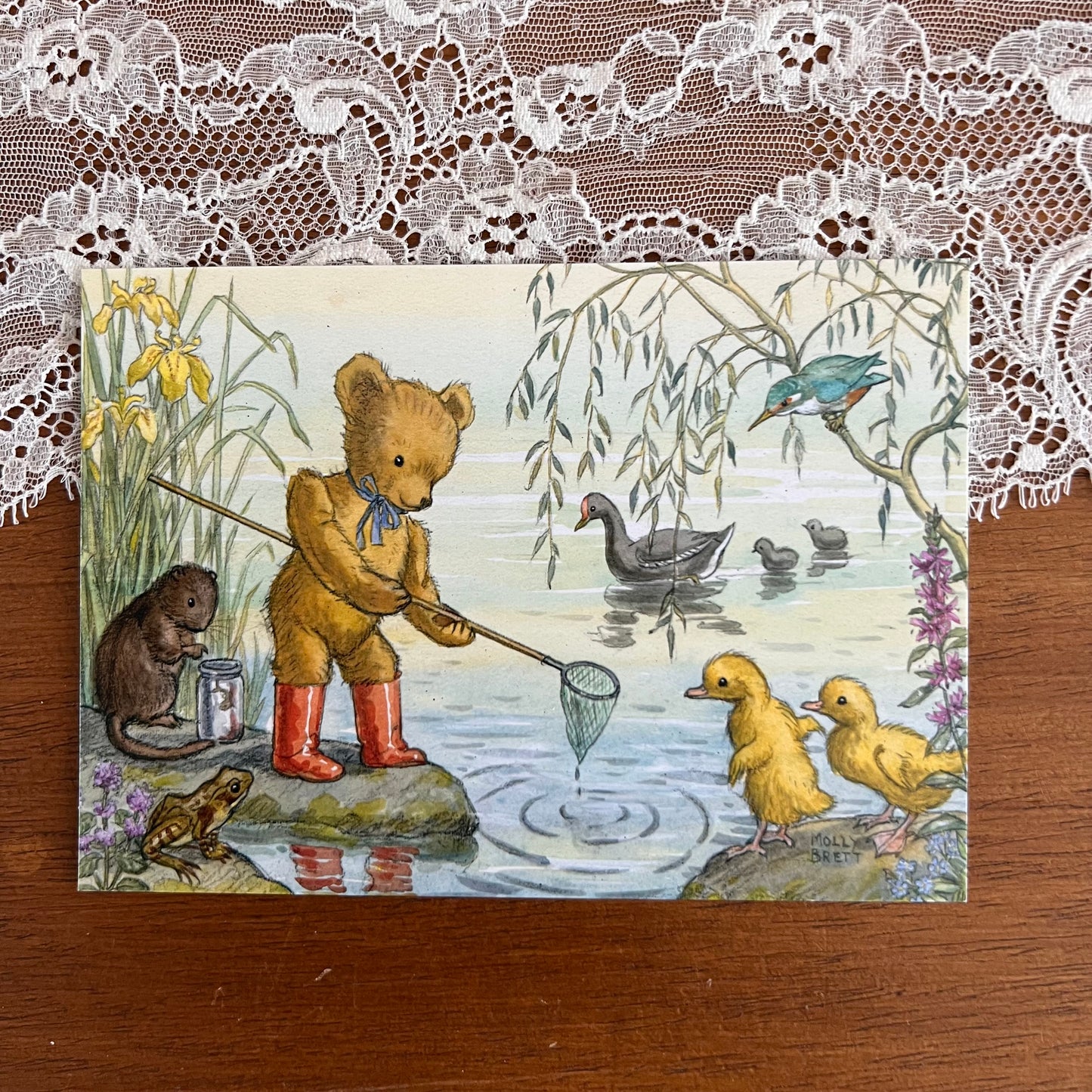 Kaart Caught a tadpole, teddy - Molly Brett