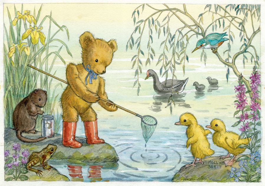 Kaart Caught a tadpole, teddy - Molly Brett
