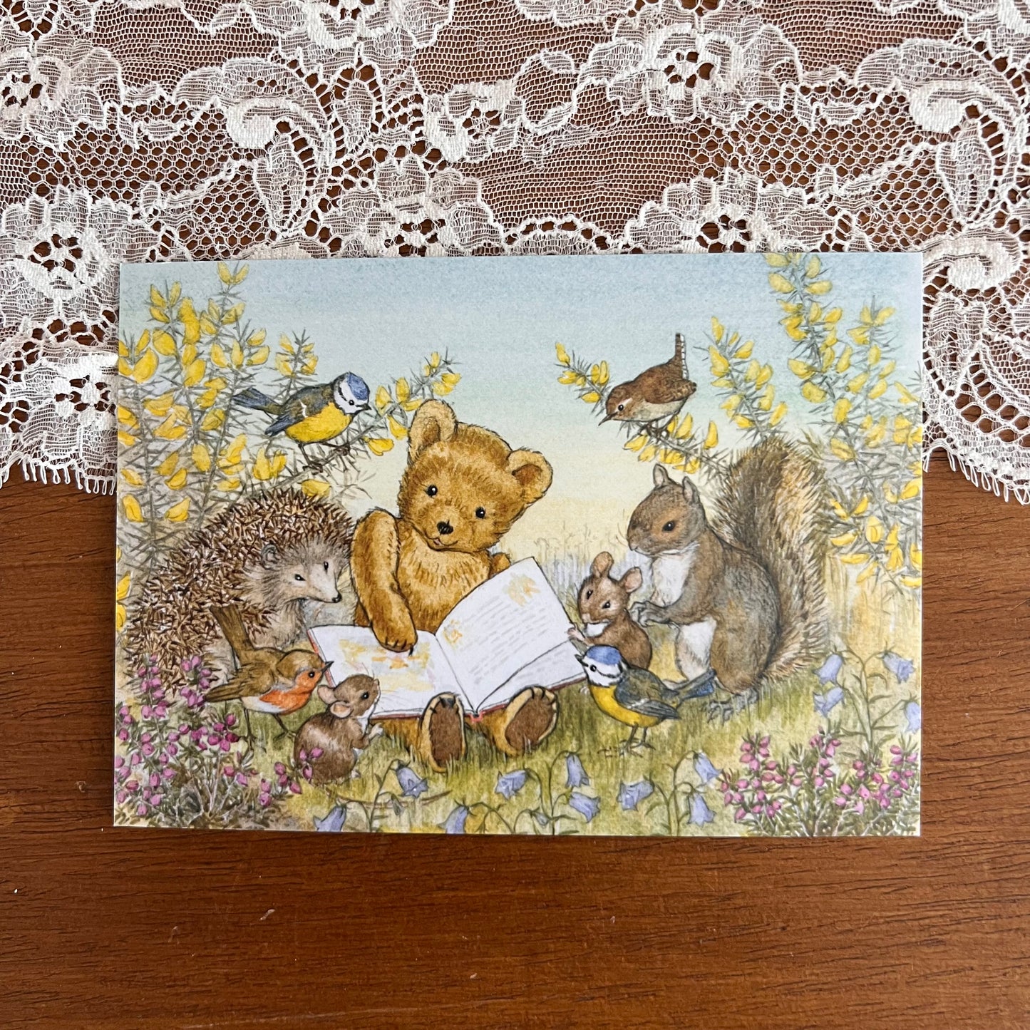 Kaart Read Us a Story, Teddy - Molly Brett