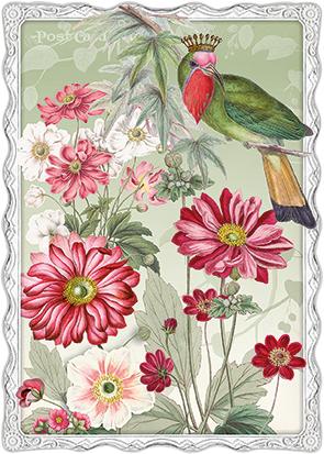 Kaart Vogel groen - Barbara Behr