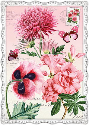 Kaart Vlinders Roze - Barbara Behr