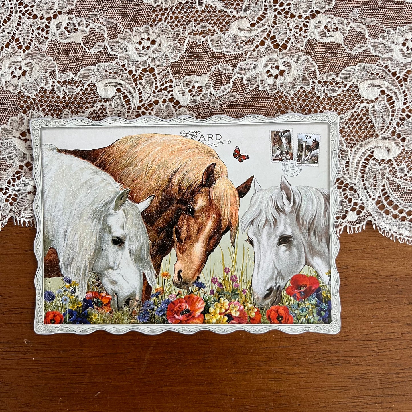 Kaart Paarden - Barbara Behr