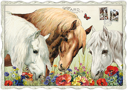 Kaart Paarden - Barbara Behr
