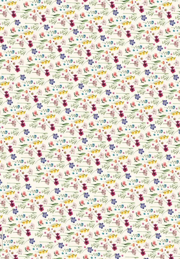 Cadeaupapier Marjolein Bastin - Coppenrath