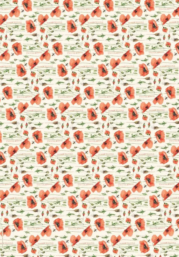 Cadeaupapier Marjolein Bastin - Coppenrath