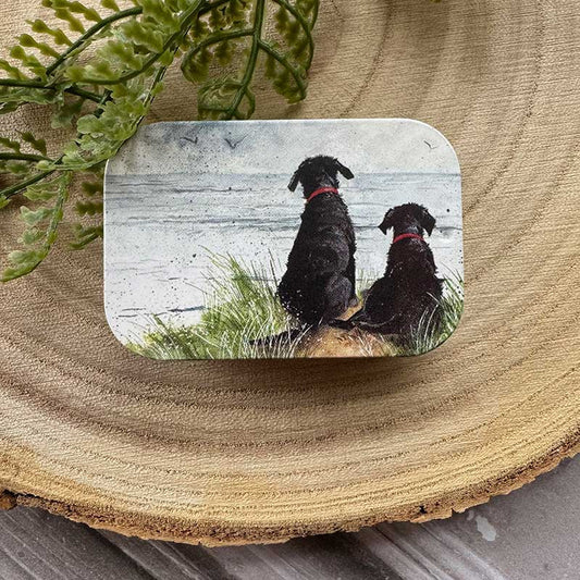 Mini blikje Dunes - Alex Clark