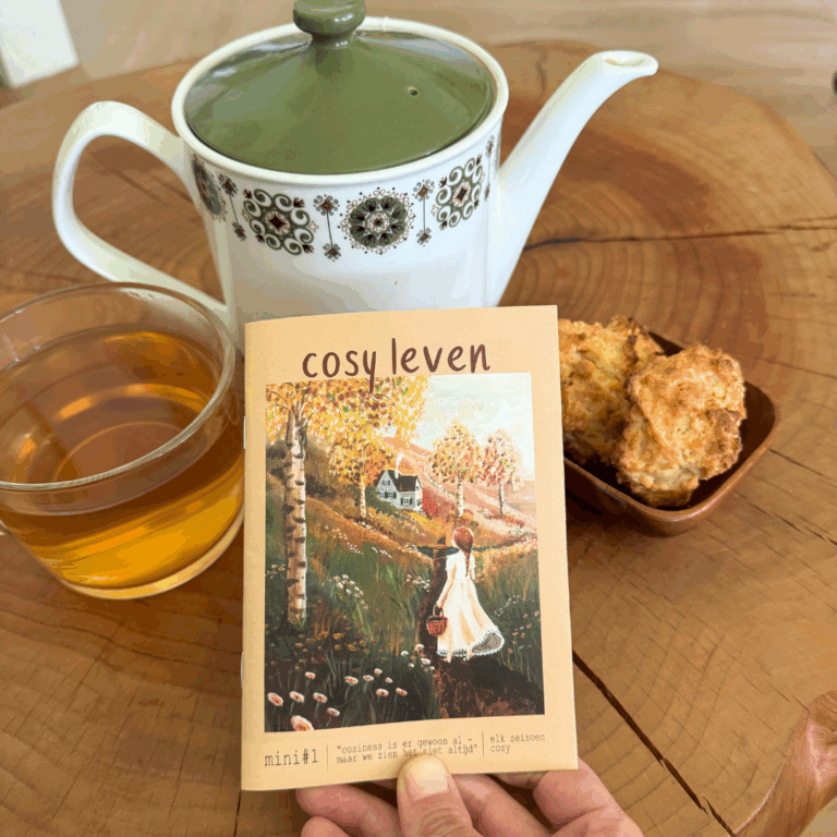 Mini Magazine #1 Cosy leven - Esther Bennink