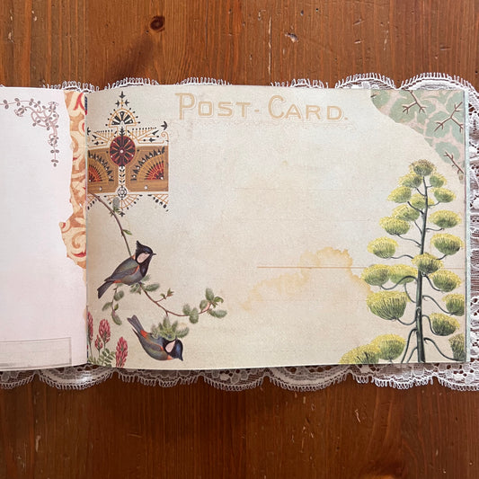 Geïllustreerd notitieboekje Oiseaux - Gwenaëlle Trolez Créations