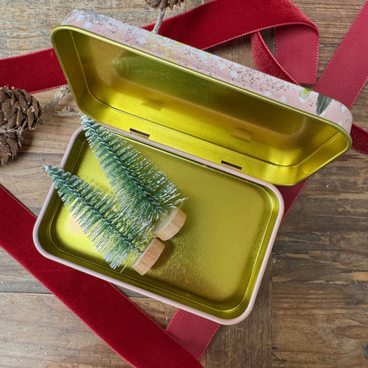 Cadeaublikje Robin and Berries - Alex Clark