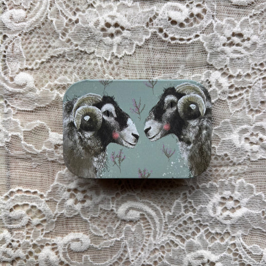 Mini blikje Sheep - Alex Clark