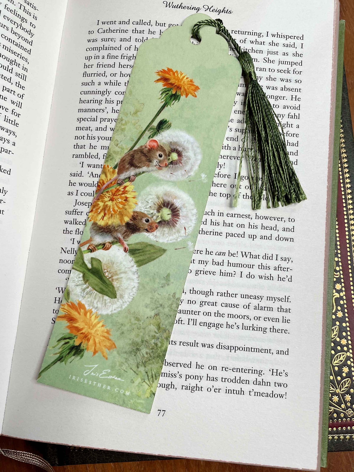 Boekenlegger Dandelions - Iris Esther