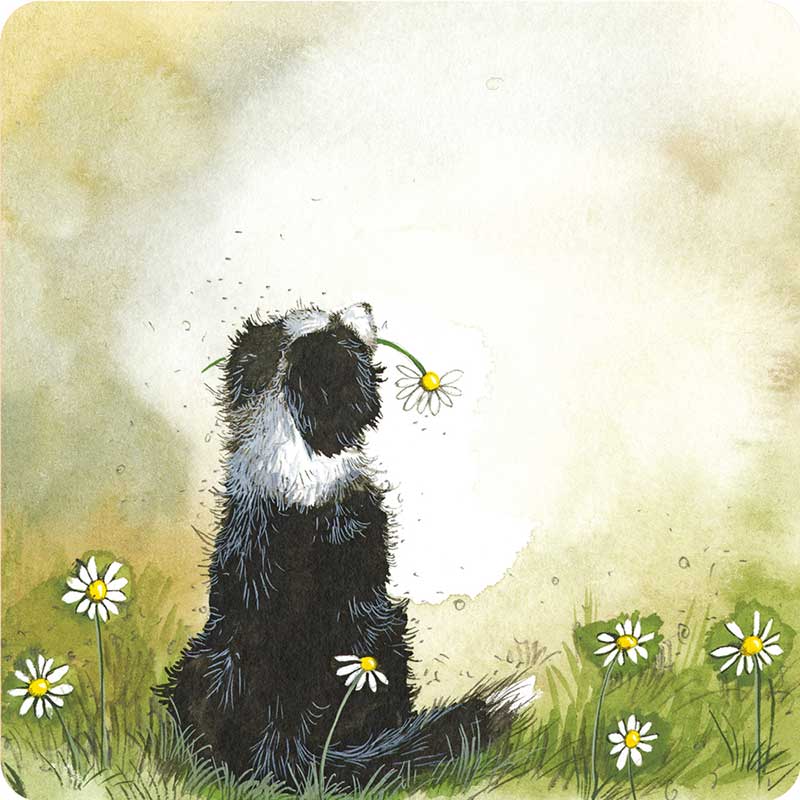 Onderzetter Collie and Daisies - Alex Clark