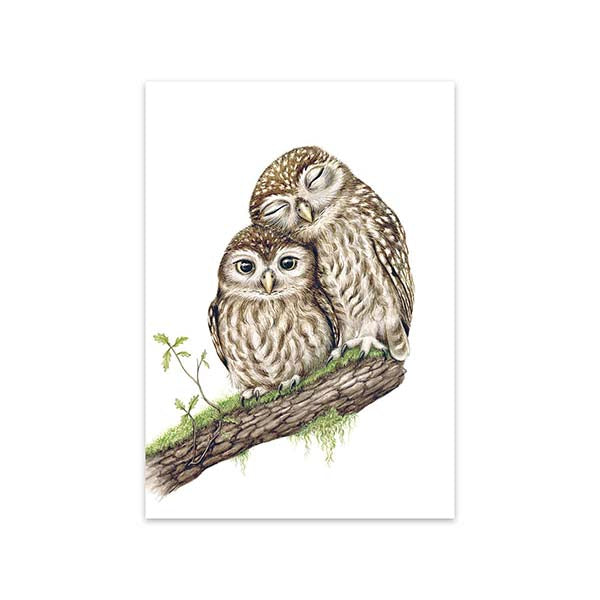 Kaart Snuggling Owls - MALUU