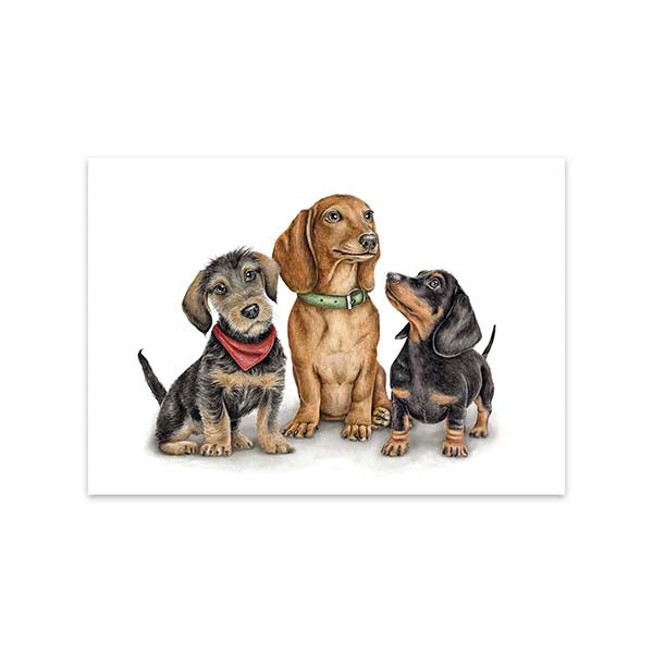 Kaart Doxie Gang - MALUU