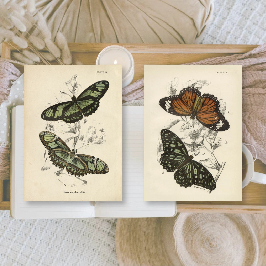 Ephemera papier Butterflies - Plan & Plot Studio