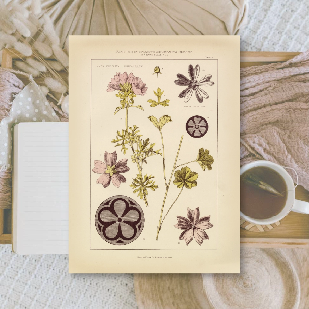 Ephemera papier Botanicals II - Plan & Plot Studio