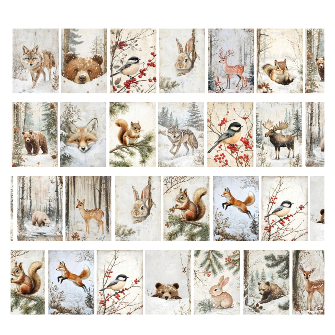 PET tape Winter Woodland 5 meter - Penpaling Paula