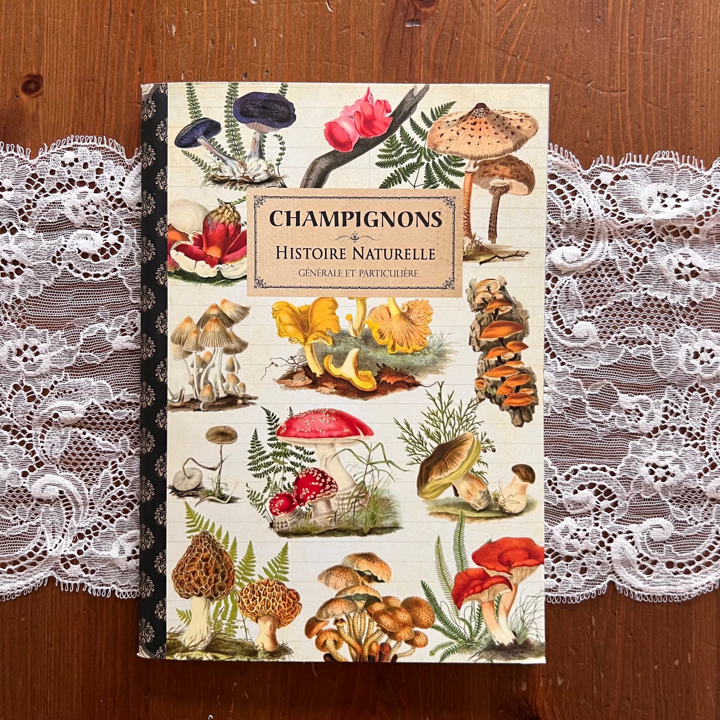 Geïllustreerd notitieboekje Champignons - Gwenaëlle Trolez Créations