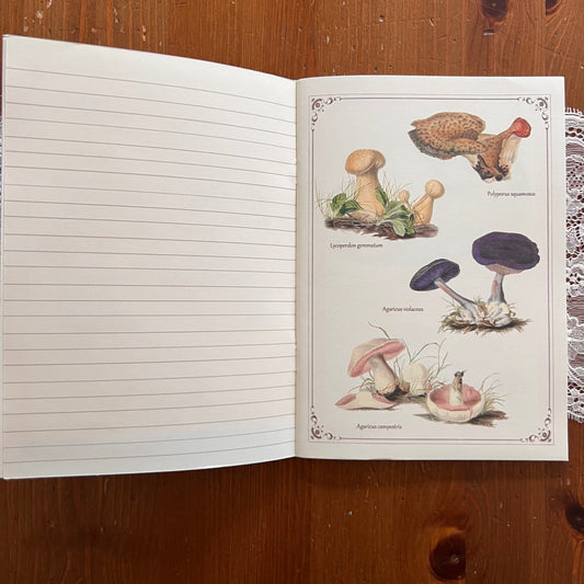 Geïllustreerd notitieboekje Champignons - Gwenaëlle Trolez Créations