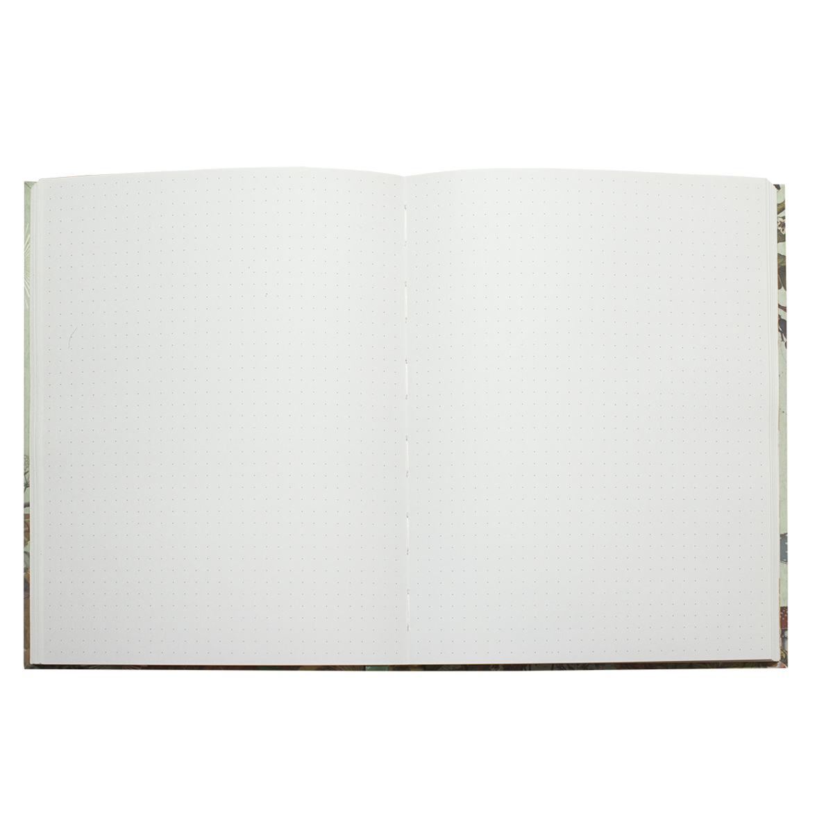 Bullet Journal Mint - Pimpelmees