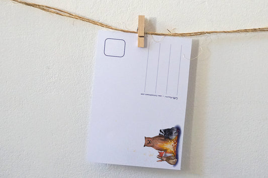 Kaart Kamperen - Lotte Drouen