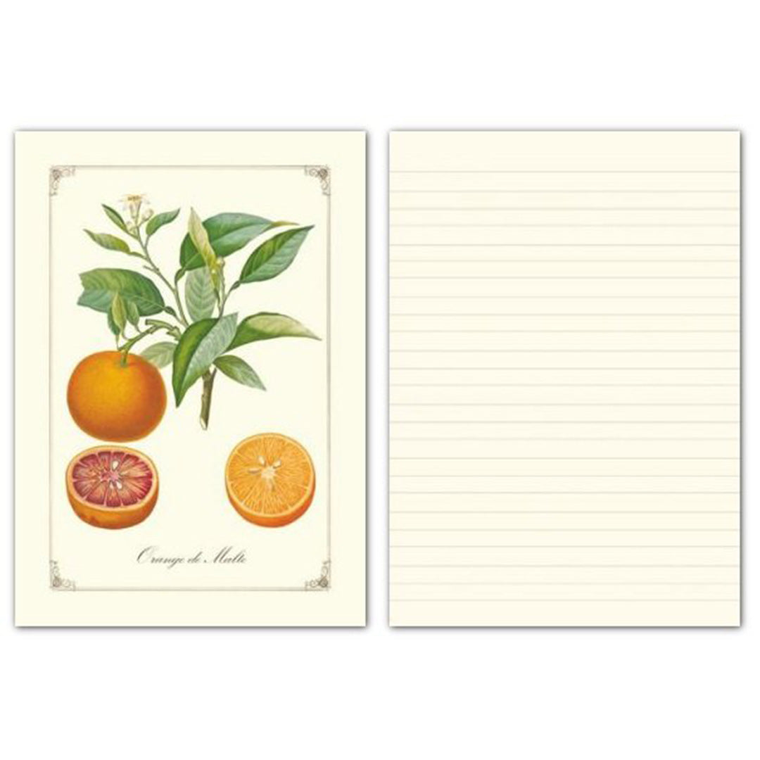 Geïllustreerd notitieboekje les Fruits - Gwenaëlle Trolez Créations