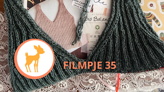 Lievia Filmpje 35