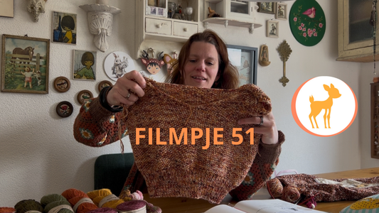 Lievia Filmpje 51