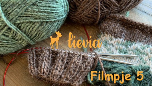 Lievia Filmpje 5